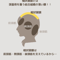 画像2228