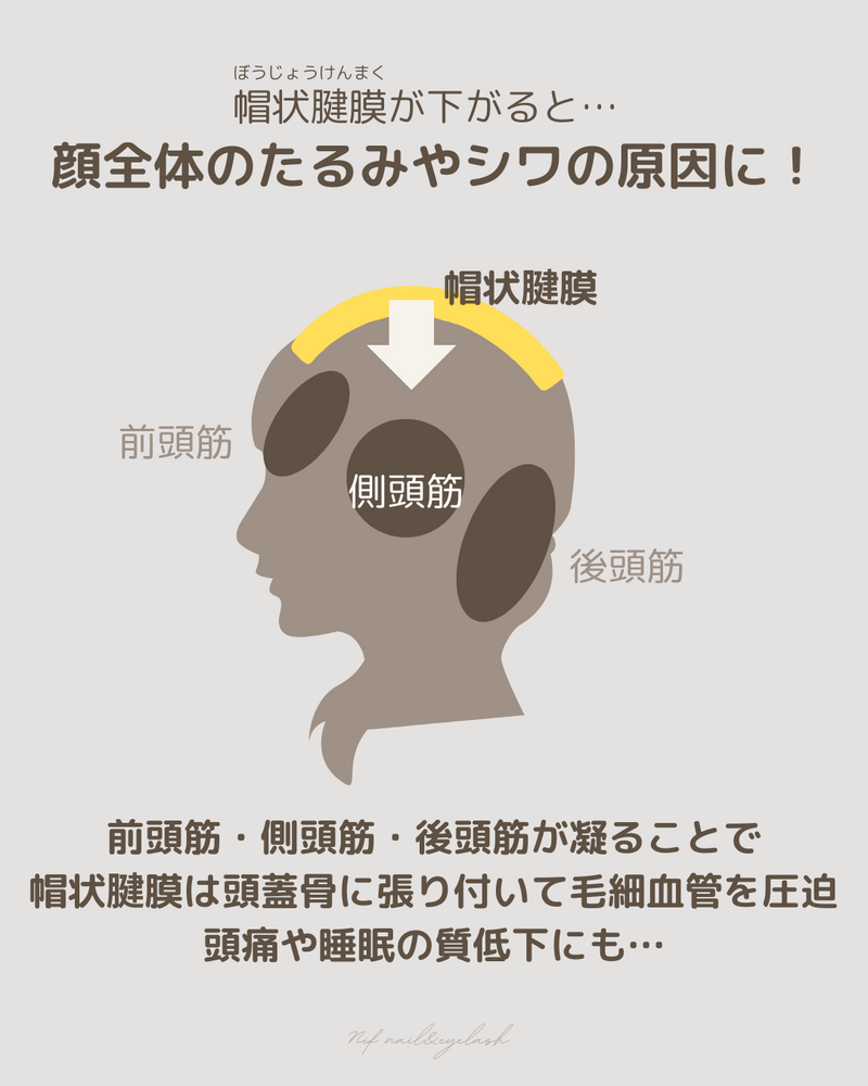 画像2229